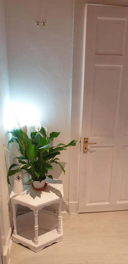 Quarry Street Hamilton Apartment Ngoại thất bức ảnh